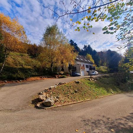 Apartmán Bienvenue Dans Le Violine 2 A 6 Couchages Cholonge Exteriér fotografie